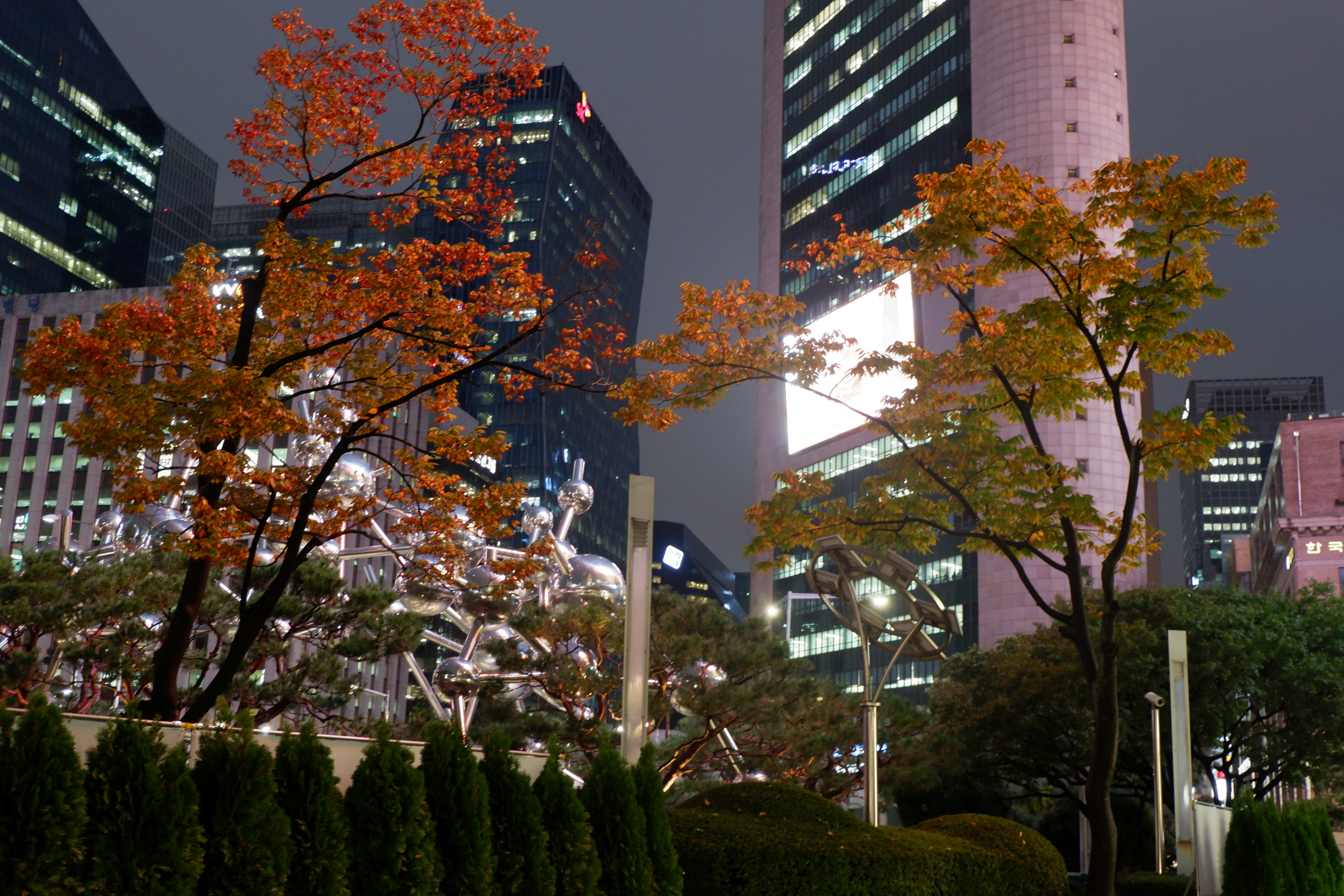 Two trees with red leaves and, in the background, tall and modern buildings
