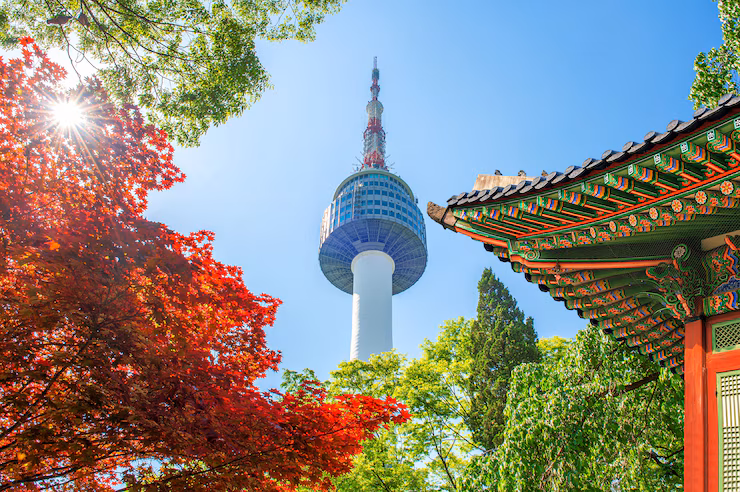 木々の間から望む南山タワーの景色